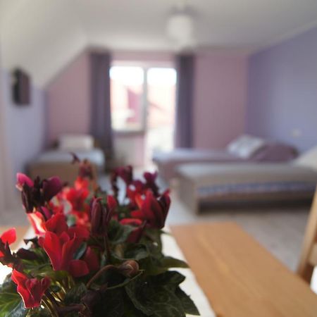 Villa Terra Pruszcz Gdanski Bagian luar foto